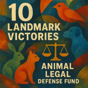 Animal Legal Defense Fund landmark victories abstract painting, scales of justice, animal silhouettes, digital editorial illustration.