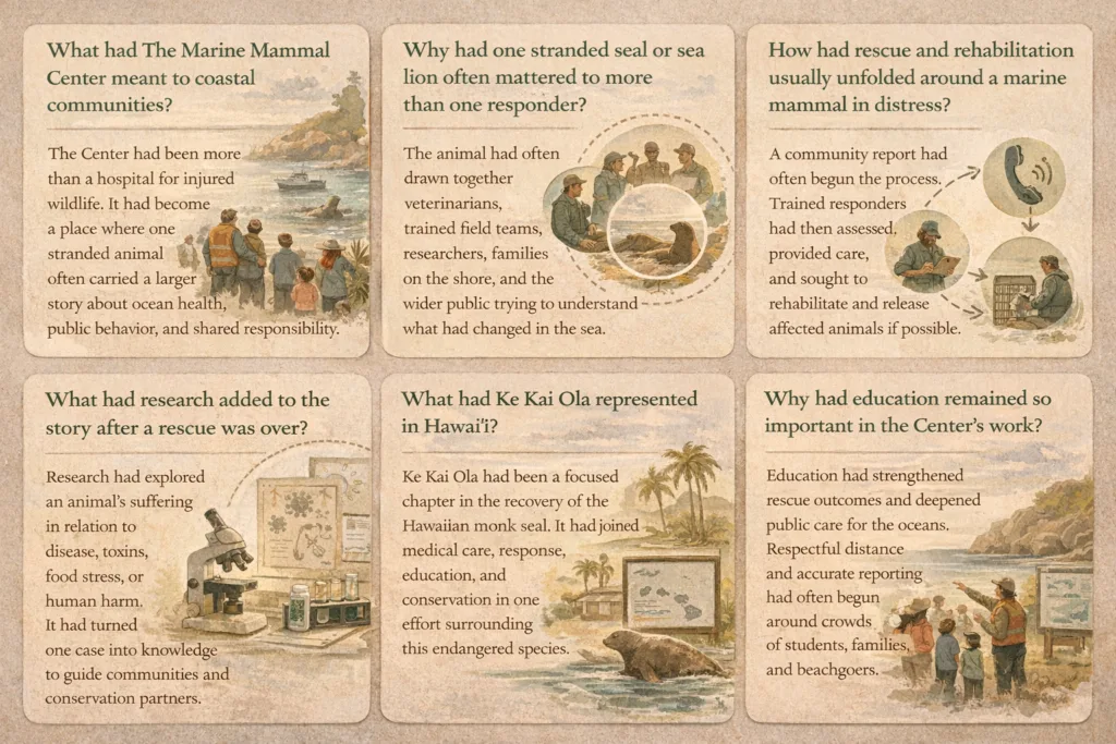 The Marine Mammal Center FAQ illustration showing rescue, research, education, and community ocean health connections