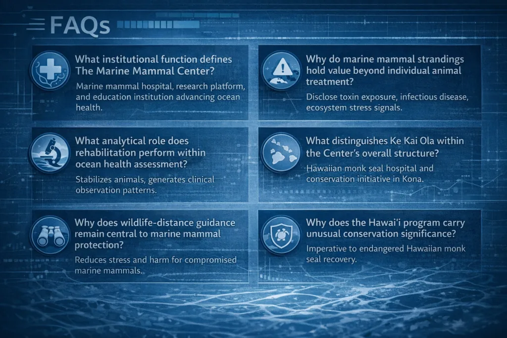 Marine Mammal Center FAQs artwork about ocean health assessment, rehabilitation, and conservation